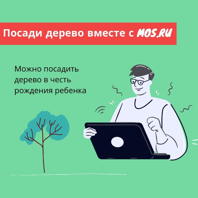 Zhiteli Moskvy Mogut Podat Zayavku Na Posadku Dereva S Pomoshyu Portala Mos Ru