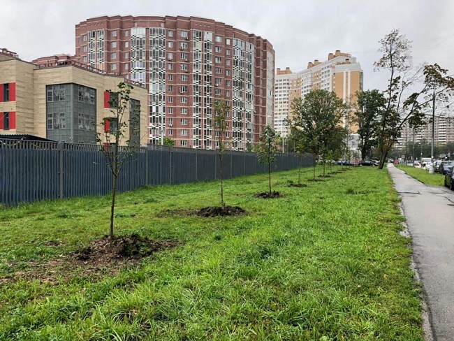 Истра Фото Улиц
