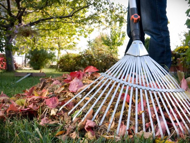 v rajone kuncevo projdut vesennie